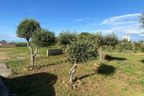 Helårsgrund i Misilmeri, Palermo, Misilmeri - € 220.000 | Ref: 1852 - foto 10