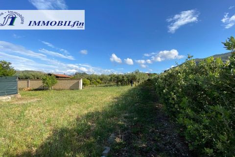 Helårsgrund i Misilmeri, Palermo, Misilmeri - € 220.000 | Ref: 1852 - foto 11