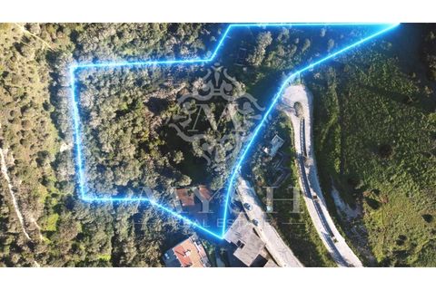 Helårsgrund i Sesimbra, Setubal, Sesimbra - € 3.300.000 | Ref: 777-06 - foto 1