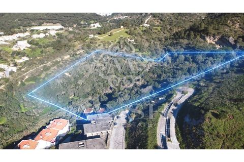 Helårsgrund i Sesimbra, Setubal, Sesimbra - € 3.300.000 | Ref: 777-06 - foto 2