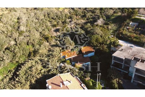 Helårsgrund i Sesimbra, Setubal, Sesimbra - € 3.300.000 | Ref: 777-06 - foto 3