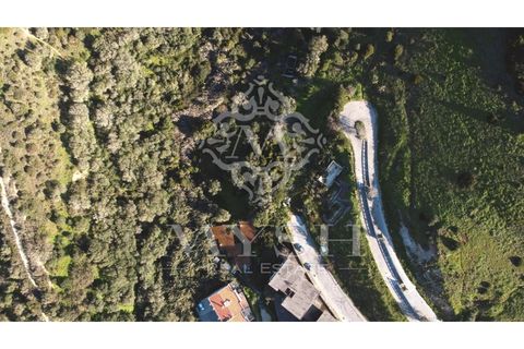Helårsgrund i Sesimbra, Setubal, Sesimbra - € 3.300.000 | Ref: 777-06 - foto 6