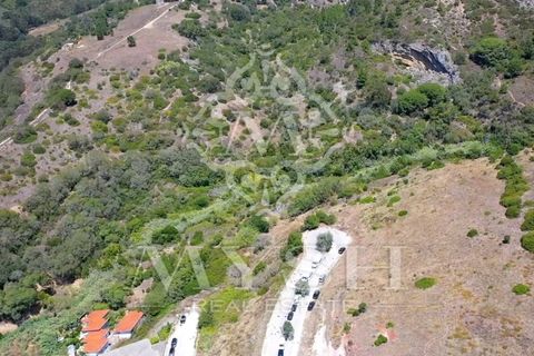 Helårsgrund i Sesimbra, Setubal, Sesimbra - € 3.300.000 | Ref: 777-06 - foto 11