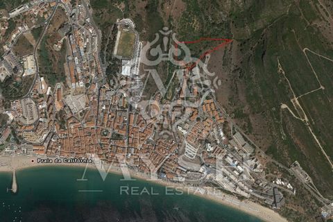 Helårsgrund i Sesimbra, Setubal, Sesimbra - € 3.300.000 | Ref: 777-06 - foto 13