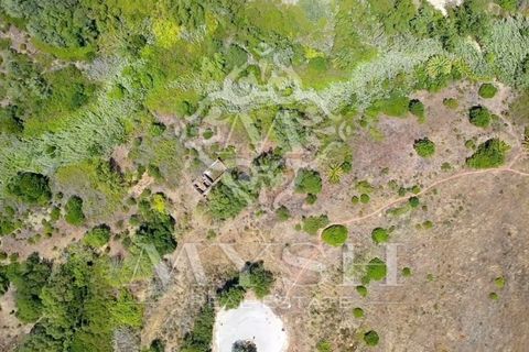 Helårsgrund i Sesimbra, Setubal, Sesimbra - € 3.300.000 | Ref: 777-06 - foto 14
