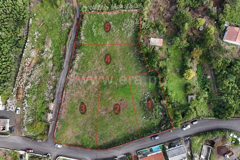 Helårsgrund i Sao Roque do Pico, Pico, Sao Roque do Pico - € 35.000 | Ref: 374240301 - foto 5