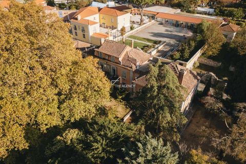 Gårdshus i Lisbon, Lisbon, Lisbon - € 7 500 000 | Ref: TAPT01-1010_RC_AG - foto 22