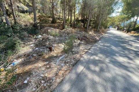 Terra a Altea, Alicante, Altea - € 199.000 | Ref: HO600003 - foto 12