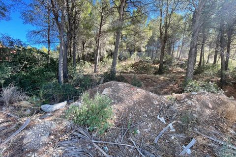 Terra a Altea, Alicante, Altea - € 199.000 | Ref: HO600003 - foto 15