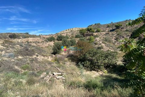 Landejendom i Oria, Almeria, Oria - € 138.000 | Ref: 2493 - foto 42