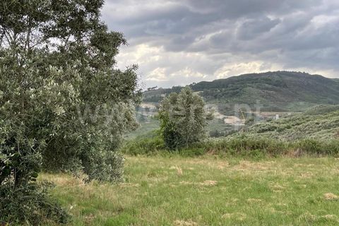 Landejendom i Mangualde, Viseu, Mangualde - € 74.000 | Ref: 389230146 - foto 3