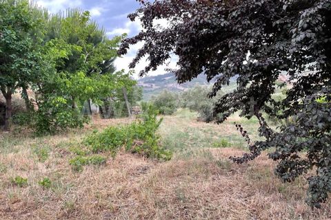 Landejendom i Mangualde, Viseu, Mangualde - € 74.000 | Ref: 389230146 - foto 4