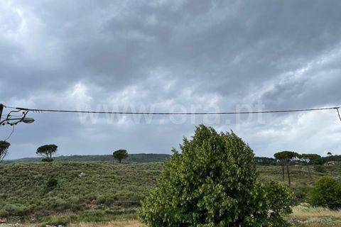 Landejendom i Mangualde, Viseu, Mangualde - € 74.000 | Ref: 389230146 - foto 5