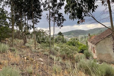 Landejendom i Mangualde, Viseu, Mangualde - € 74.000 | Ref: 389230146 - foto 8