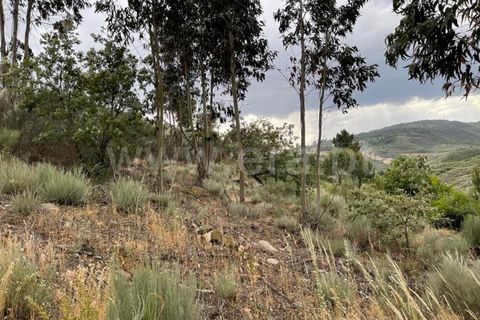 Landejendom i Mangualde, Viseu, Mangualde - € 74.000 | Ref: 389230146 - foto 9