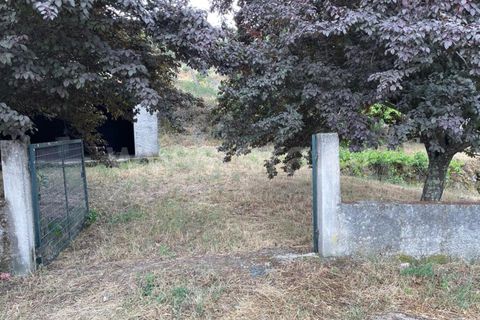 Landejendom i Mangualde, Viseu, Mangualde - € 74.000 | Ref: 389230146 - foto 10