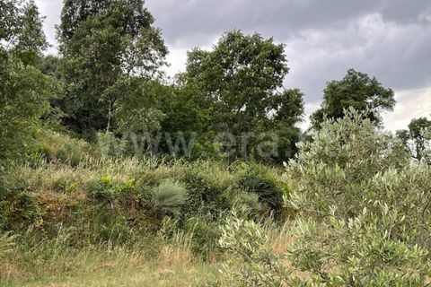 Landejendom i Mangualde, Viseu, Mangualde - € 74.000 | Ref: 389230146 - foto 12