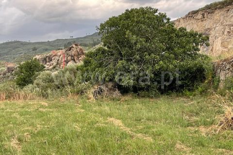 Landejendom i Mangualde, Viseu, Mangualde - € 74.000 | Ref: 389230146 - foto 13