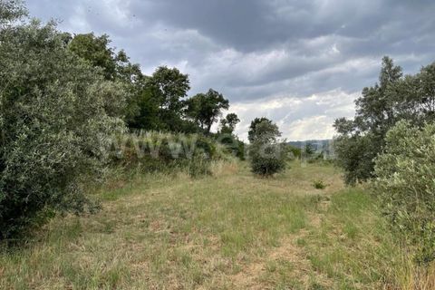 Landejendom i Mangualde, Viseu, Mangualde - € 74.000 | Ref: 389230146 - foto 14