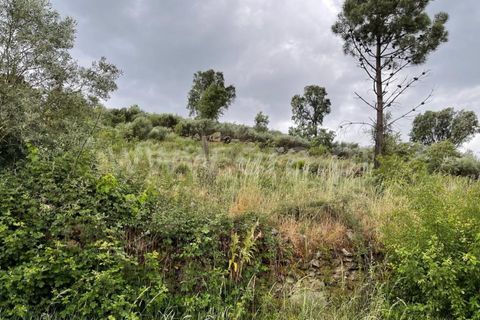 Landejendom i Mangualde, Viseu, Mangualde - € 74.000 | Ref: 389230146 - foto 15
