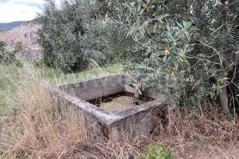 Landejendom i Mangualde, Viseu, Mangualde - € 74.000 | Ref: 389230146 - foto 16
