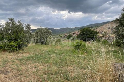 Landejendom i Mangualde, Viseu, Mangualde - € 74.000 | Ref: 389230146 - foto 17