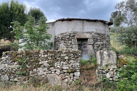Landejendom i Mangualde, Viseu, Mangualde - € 74.000 | Ref: 389230146 - foto 18