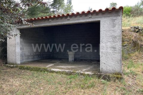 Landejendom i Mangualde, Viseu, Mangualde - € 74.000 | Ref: 389230146 - foto 19