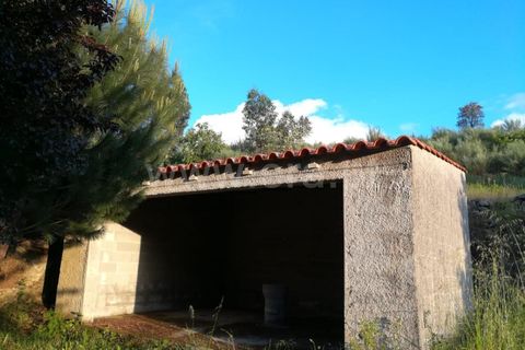 Landejendom i Mangualde, Viseu, Mangualde - € 74.000 | Ref: 389230146 - foto 21