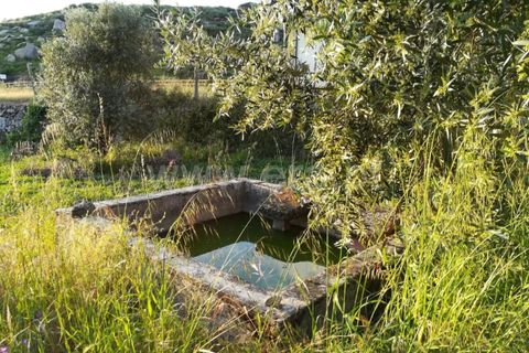 Landejendom i Mangualde, Viseu, Mangualde - € 74.000 | Ref: 389230146 - foto 22