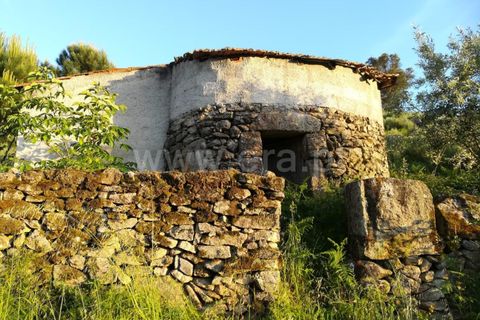 Landejendom i Mangualde, Viseu, Mangualde - € 74.000 | Ref: 389230146 - foto 23