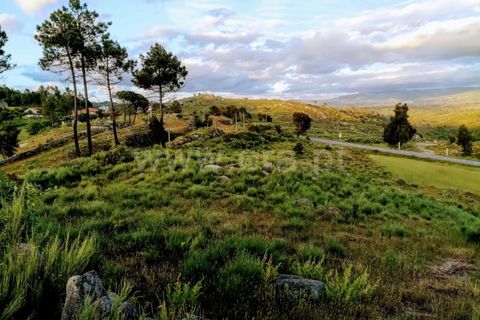 Landejendom i Mangualde, Viseu, Mangualde - € 74.000 | Ref: 389230146 - foto 24