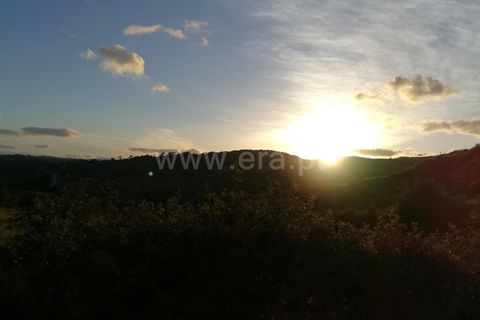 Landejendom i Mangualde, Viseu, Mangualde - € 74.000 | Ref: 389230146 - foto 25
