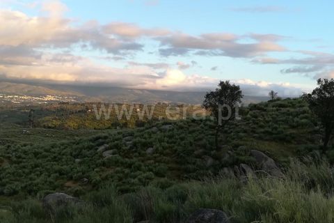 Landejendom i Mangualde, Viseu, Mangualde - € 74.000 | Ref: 389230146 - foto 26