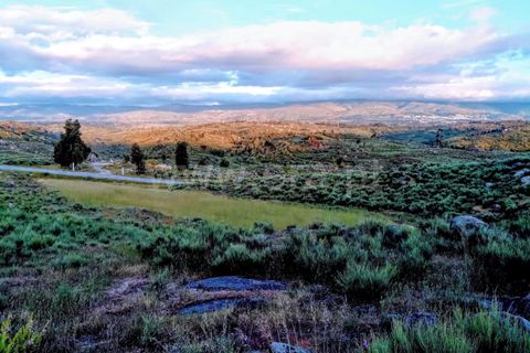 Landejendom i Mangualde, Viseu, Mangualde - € 74.000 | Ref: 389230146 - foto 27