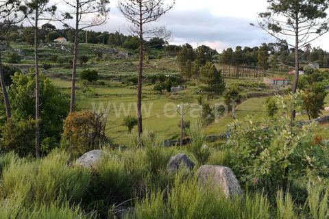 Landejendom i Mangualde, Viseu, Mangualde - € 74.000 | Ref: 389230146 - foto 28
