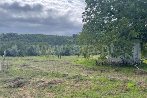 Helårsgrund i Viseu, Viseu, Viseu - € 57.000 | Ref: 389230188 - foto 4
