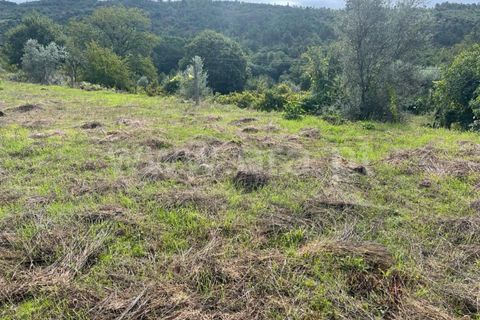 Helårsgrund i Viseu, Viseu, Viseu - € 57.000 | Ref: 389230188 - foto 5