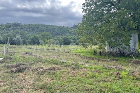 Helårsgrund i Viseu, Viseu, Viseu - € 57.000 | Ref: 389230188 - foto 6
