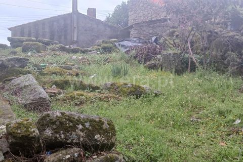 Helårsgrund i Mangualde, Viseu, Mangualde - € 14.000 | Ref: 389240051 - foto 2