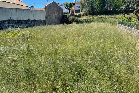 Helårsgrund i Mangualde, Viseu, Mangualde - € 22.000 | Ref: 389240079 - foto 2