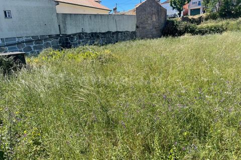 Helårsgrund i Mangualde, Viseu, Mangualde - € 22.000 | Ref: 389240079 - foto 3