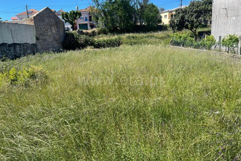 Helårsgrund i Mangualde, Viseu, Mangualde - € 22.000 | Ref: 389240079 - foto 5