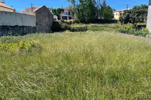 Helårsgrund i Mangualde, Viseu, Mangualde - € 22.000 | Ref: 389240079 - foto 7