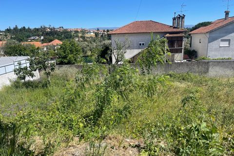 Helårsgrund i Mangualde, Viseu, Mangualde - € 19.000 | Ref: 389240080 - foto 3