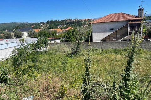 Helårsgrund i Mangualde, Viseu, Mangualde - € 19.000 | Ref: 389240080 - foto 5