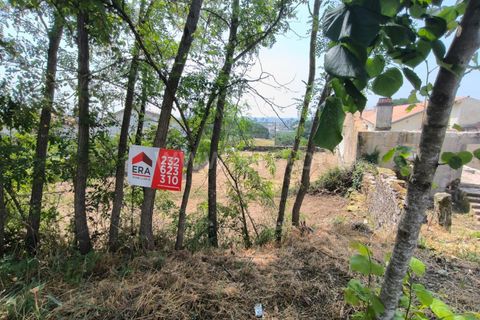 Helårsgrund i Mangualde, Viseu, Mangualde - € 25.500 | Ref: 389240081 - foto 2
