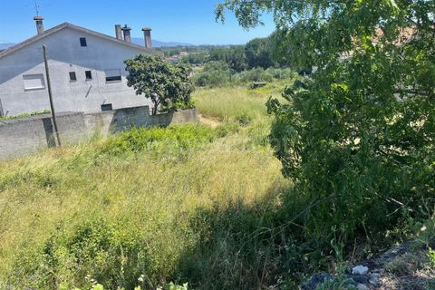Helårsgrund i Mangualde, Viseu, Mangualde - € 25.500 | Ref: 389240081 - foto 3