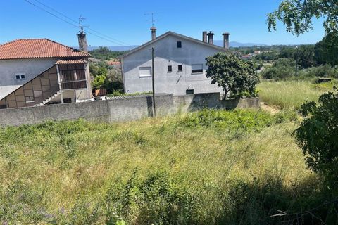 Helårsgrund i Mangualde, Viseu, Mangualde - € 25.500 | Ref: 389240081 - foto 5