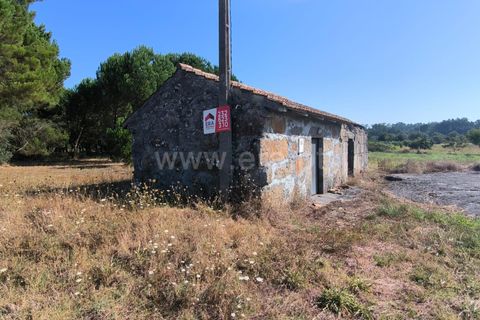 Terra a Nelas, Viseu, Nelas - € 36.500 | Ref: 389240129 - foto 2